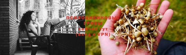 гашик Болохово