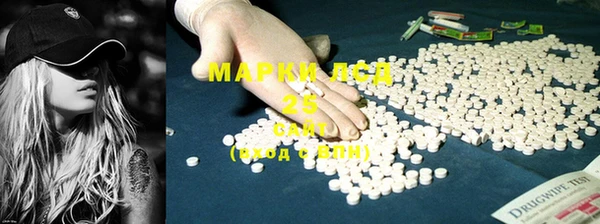 PSILOCYBIN Болотное