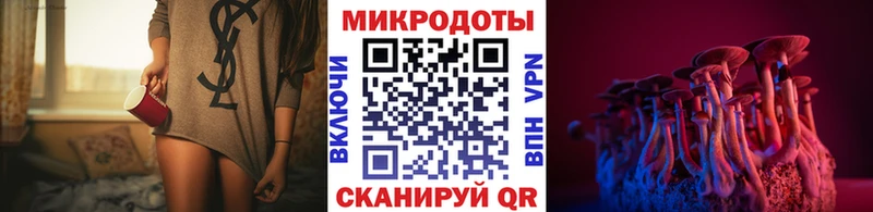 Галлюциногенные грибы Psilocybine cubensis Котовск