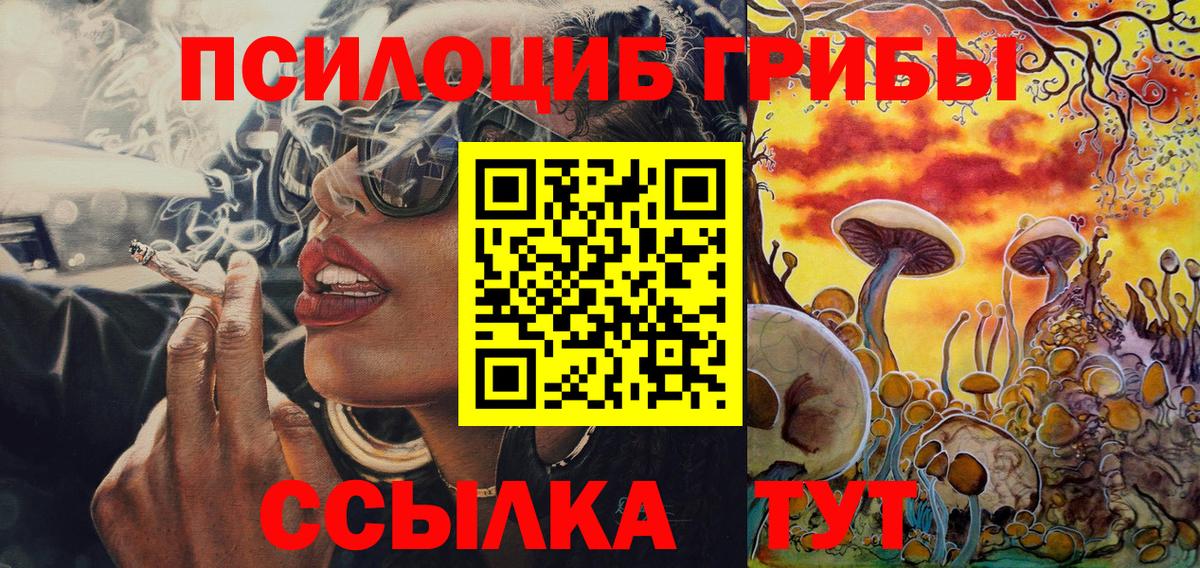 Котовск  Галлюциногенные грибы Cubensis  Вход с VPN  Галлюциногенные грибы мицелий 