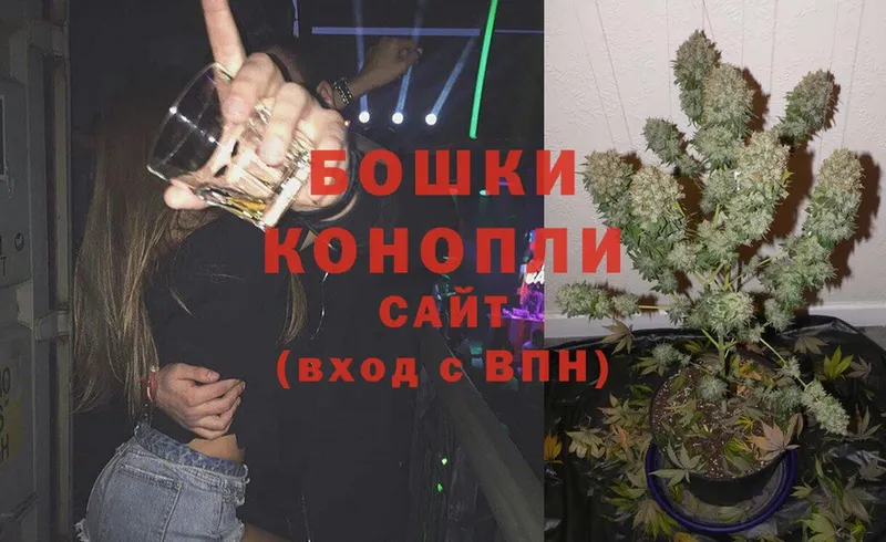 Бошки марихуана White Widow  продажа наркотиков  Котовск 