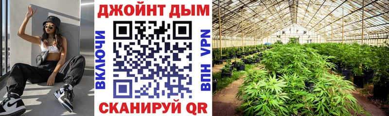 купить закладку Котовск Канабис Ganja