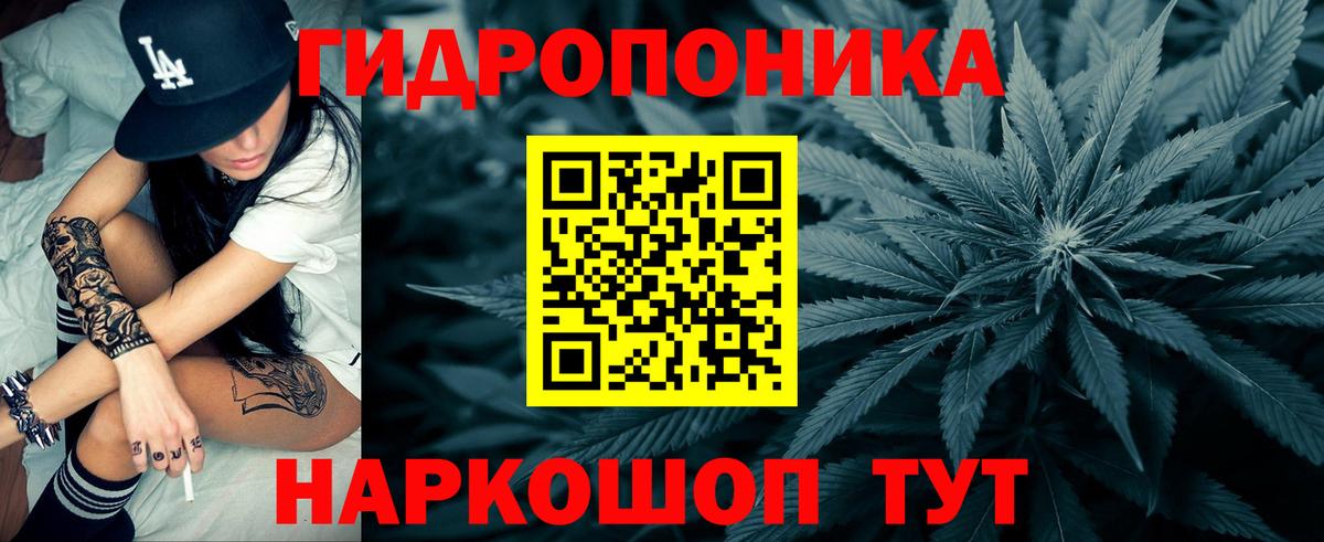 Канабис семена  Каннабис ГИДРОПОН  Бошки Шишки марихуана  Вход с VPN  Котовск  Бошки Шишки Ganja 